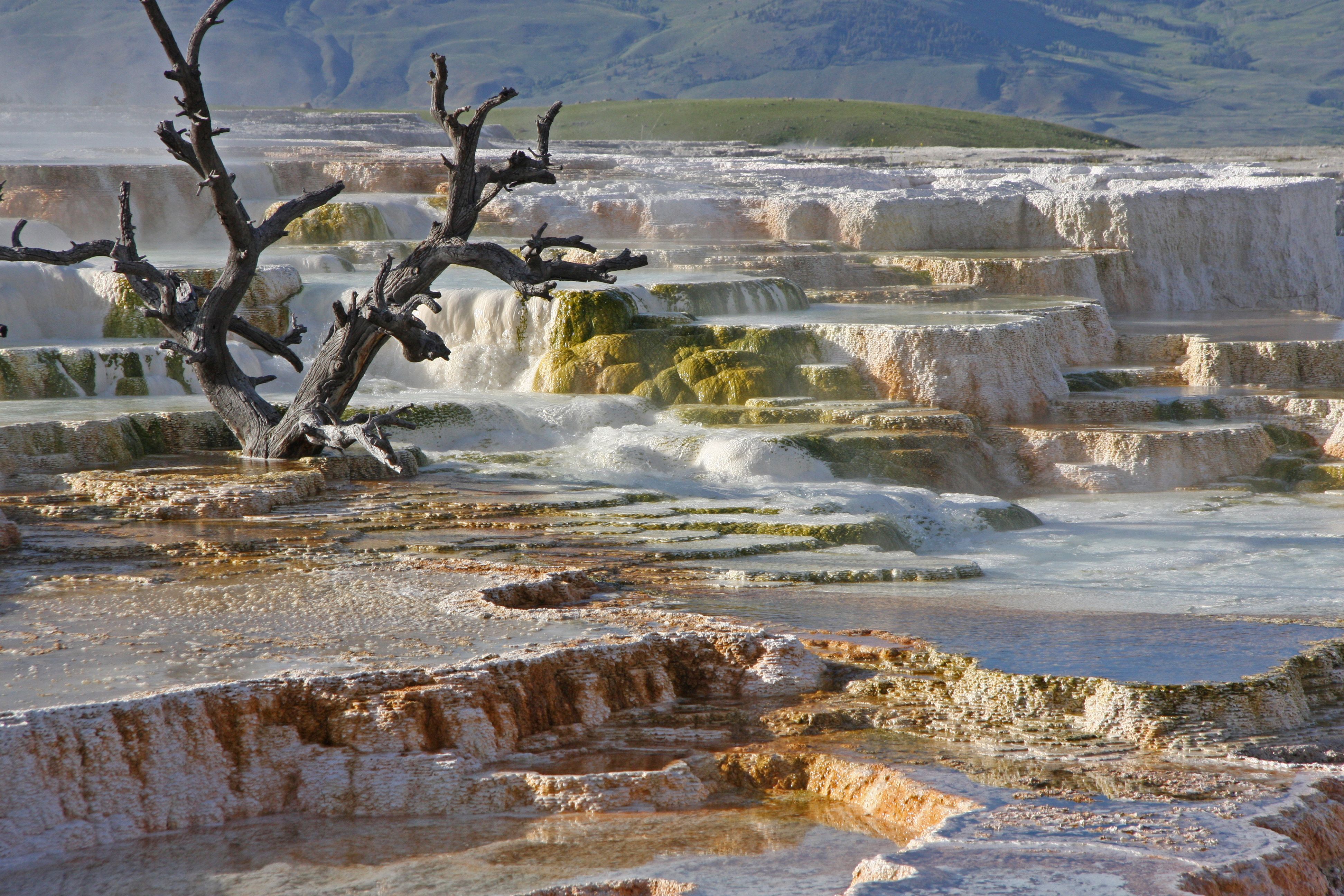 Yellowstone National Park Mammoth Hot Springs