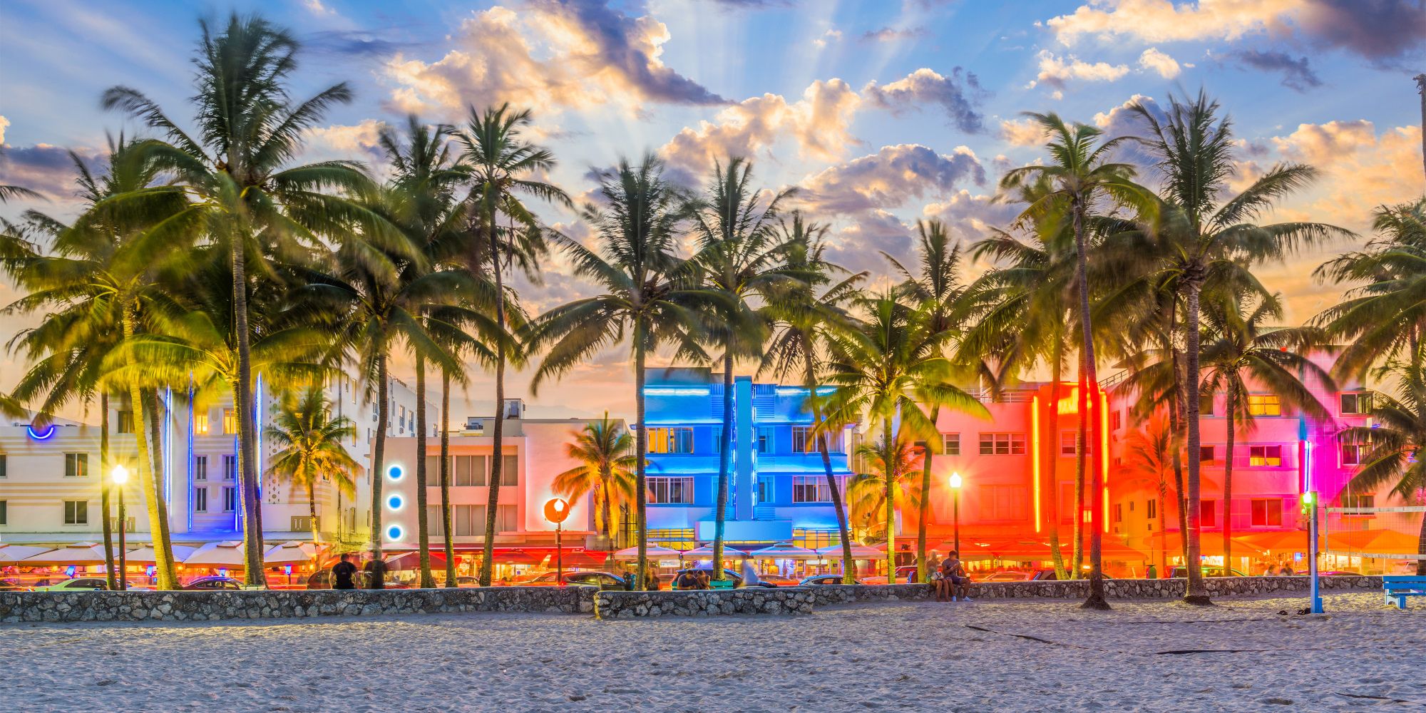 Florida Miami palmbomen