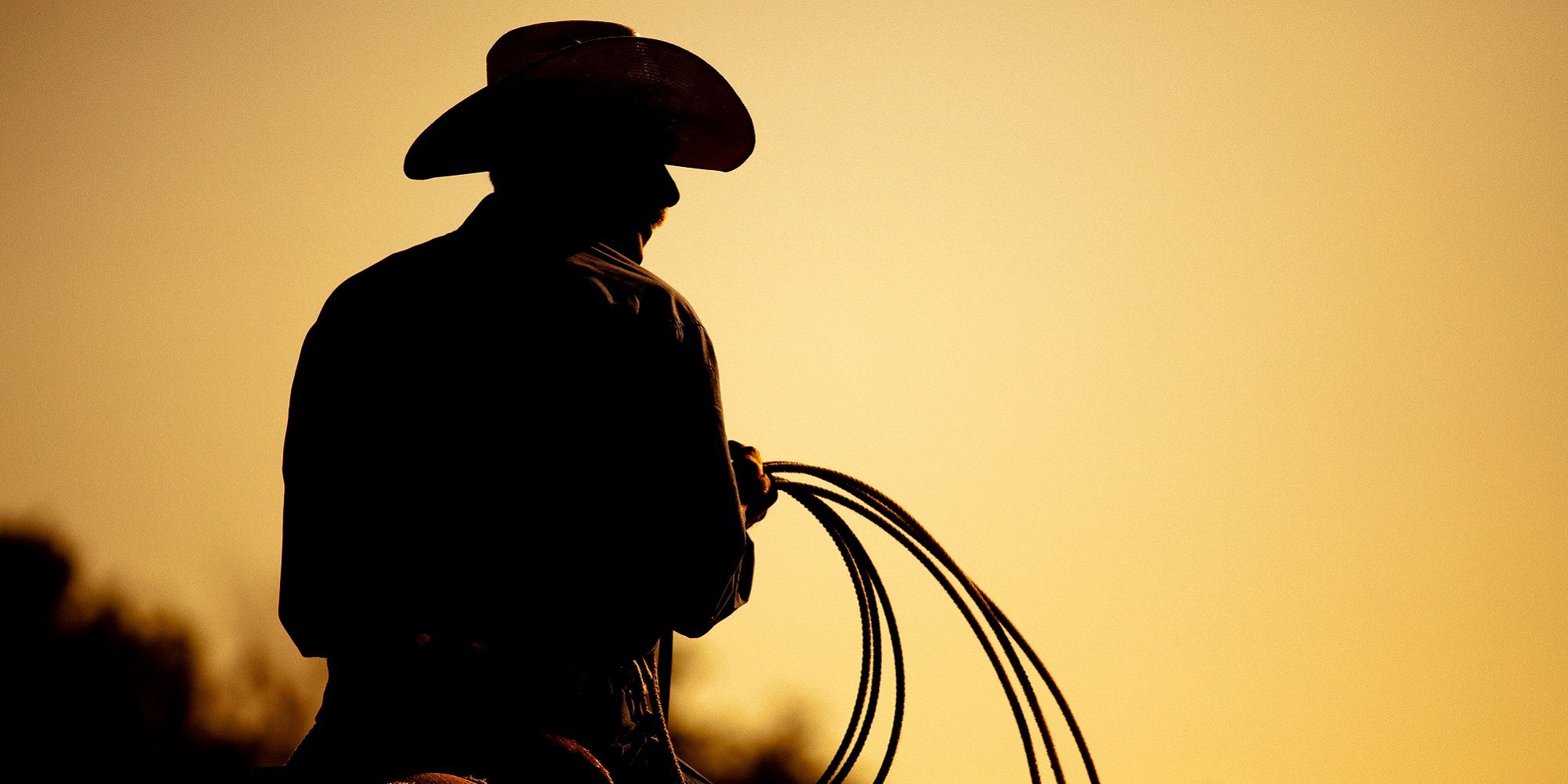 Texas Roadtrip Cowboy