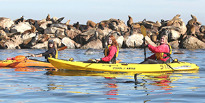 Monterey - Kayak in de baai van Monterey