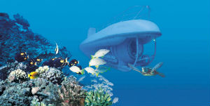 Hawaii - Atlantis Submarine Adventures