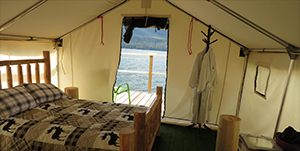 Glamping avec les grizzlis - Grizzly Bay Floating Lodge